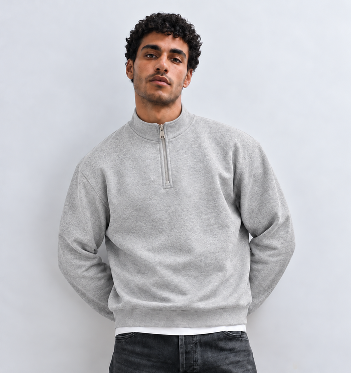 Boxy Regular Fit Quarter-Zip in Light Gray